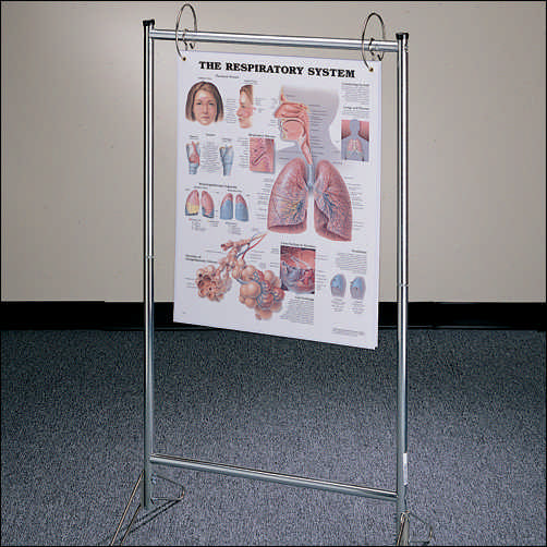 Portable Chart Stand