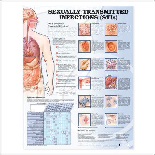 Sexually Transmitted Infections (STIs) Anatomical Chart