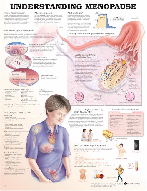 Understanding Menopause Anatomical Chart