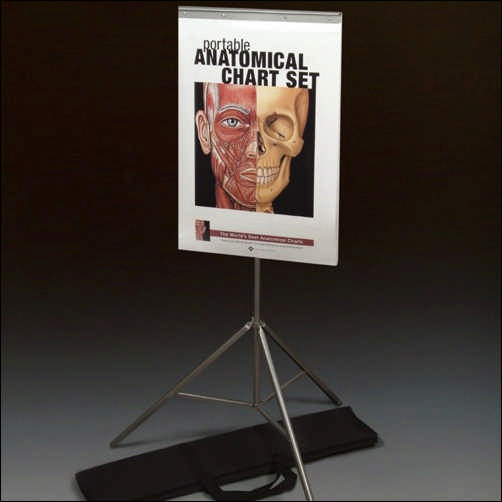 The Portable Anatomical Chart Set with Tri-Pod